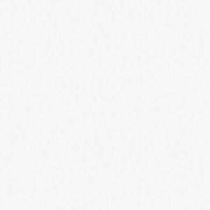 Meet your Posher, Liv gradone